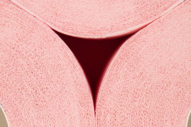 Kollu pembe tuvalet kağıdı, beyaz arkaplanda izole edilmiş, metin için boşluk