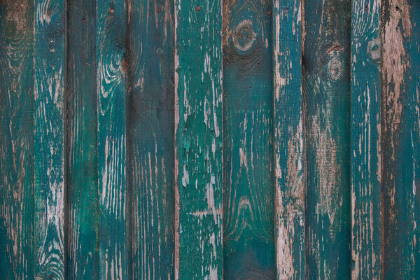 old wooden fence made of boards with peeling paint and scratches, background, grunge