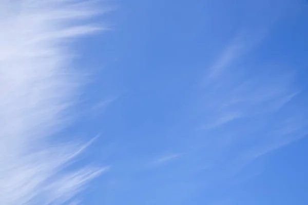 Cielo Azul Con Nubes Cirrus Blancas Corona Árbol Amarillo Fondo — Foto de Stock