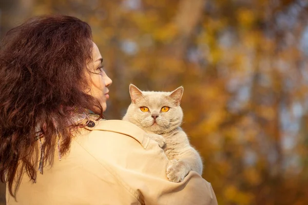 Gato Leve Com Olhos Amarelos Nas Mãos Uma Menina Andando — Fotografia de Stock