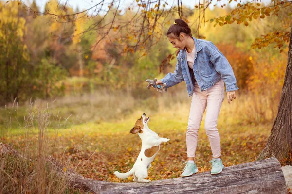 Sonbahar Parkı 'nda sahibinin yanında beyaz ve kırmızı renkli bir köpek yürüyor.