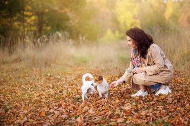 Sonbahar Parkı 'nda sahibinin yanında beyaz ve kırmızı renkli bir köpek yürüyor.