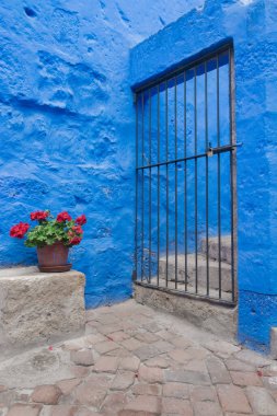 Santa Catalina Manastırı, Arequipa, Peru 'daki çiçek saksısı ve güzel mavi arka planlı resim gibi.