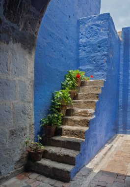 Santa Catalina, Arequipa, Peru 'daki çiçek saksıları olan güzel mavi merdivenler. Bu manastır 1580 'de kuruldu.