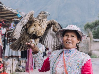 YANQUE, COLCA VALLEY, PERU - 20 HAZİRAN 2018: Geleneksel giysili Perulu kadın geleneksel Yanque Colca köyünde bir kartal tutuyor