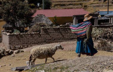 ISLA DEL SOL, BOLIVIA - 26 Temmuz 2016: Tipik bir 