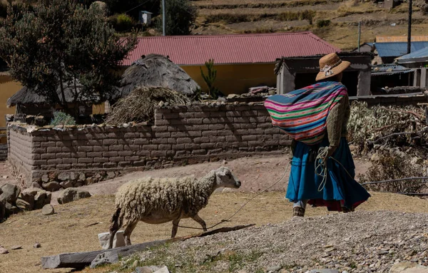 Isla Del Sol Bolivia Juli 2016 Een Inheemse Boliviaanse Vrouw — Stockfoto