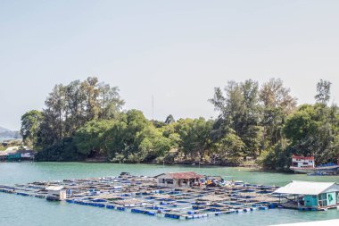 denizde yüzen sepet ve ev 