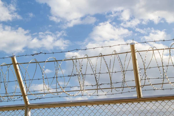 Barbed wire fence — Stock Photo, Image