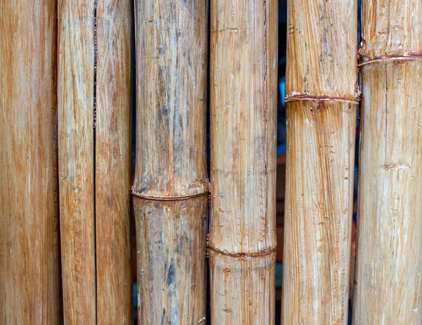 Bamboo fence background — Stock Photo, Image