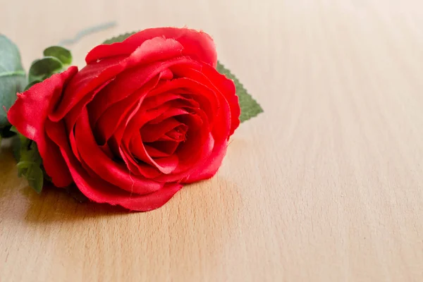 Rose rouge sur table en bois — Photo