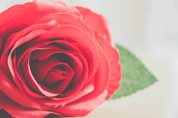 Fond rose rouge flou — Photo