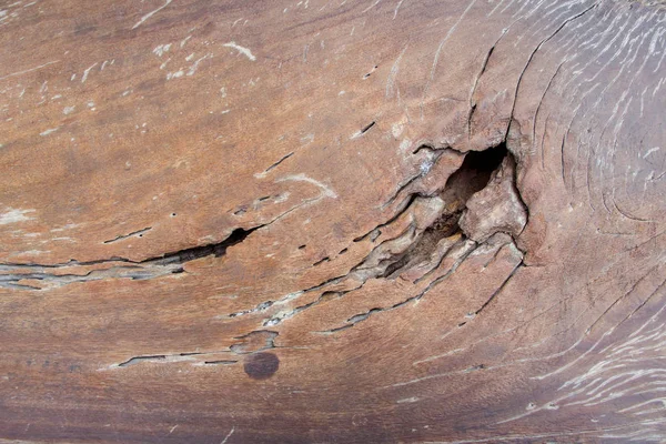 Struttura in legno rustico — Foto Stock