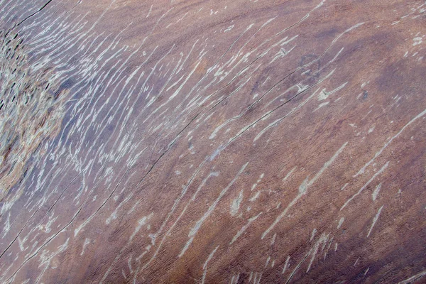Cor rústica azulejo textura chão — Fotografia de Stock