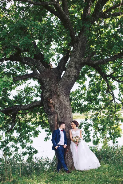 Recém Casados Estão Sob Uma Grande Árvore Margem Rio — Fotografia de Stock