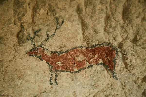 Rock drawing of a deer in a cave