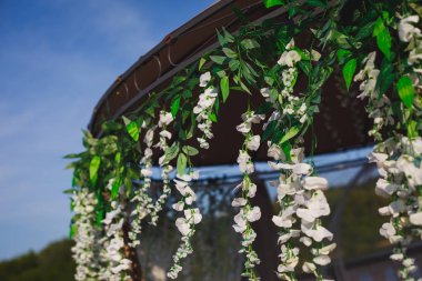 Güzel çiçeklerle süslenmiş gölgelik