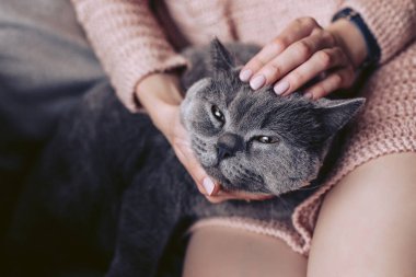Pembe örgü elbiseli bir kız elinde yatan kedi