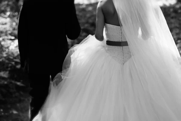 Foto in bianco e nero degli sposi in un bellissimo matrimonio — Foto Stock