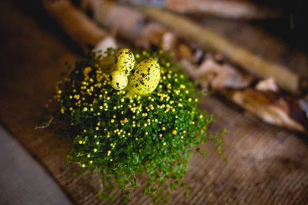 Пасхальные Яйца Декоративном Гнезде Стоковое Фото