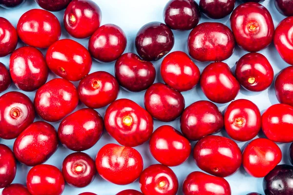 Cerises Rouges Juteuses Fond Bleu Fermer — Photo