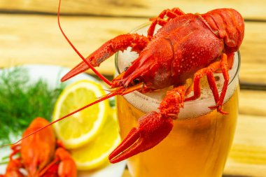 Haşlanmış kerevit bir bardak biranın üzerinde, içinde kerevit ve limon olan bir tabağın yanında. Ahşap arkaplan