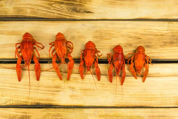 Five Boiled Crayfish Arranged Larger Smaller Wooden Background — Stock Photo, Image