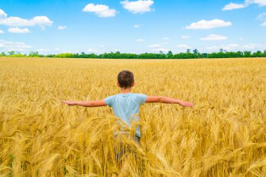 Bir çocuk gökyüzüne karşı buğday tarlasında koşuyor.