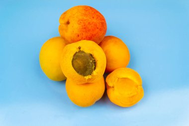 Bir sürü olgun büyük kayısı, biri mavi arka planda kırılmış..