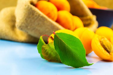 Kayısı mavi arka planda çantadan düşer.