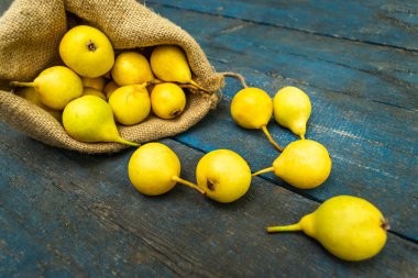 Sarı armutlar mavi arka planda çantalardan düşer