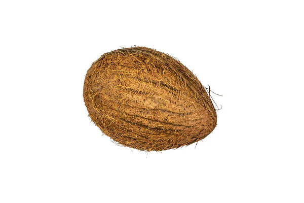 Brown Cocco Isolato Bianco Primo Piano — Foto Stock