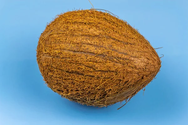 Exotische Noot Hele Halve Kokosnoot Blauwe Achtergrond — Stockfoto