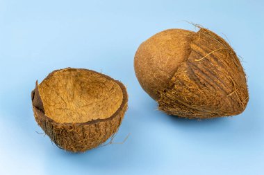 Egzotik kaçık. Mavi arka planda tam ve yarım hindistan cevizi