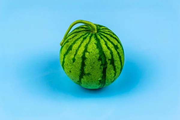 Gestreifte Wassermelone Auf Blauem Hintergrund Nahaufnahme — Stockfoto
