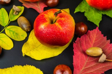 Siyah arkaplanda su damlaları olan kırmızı elmalar. Sonbahar ve hasat konsepti. Seçici odak