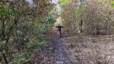 Bir çocuğun bisiklet sürdüğü ormanda bir patika..