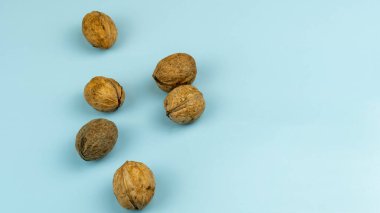 Mavi arka planda cevizler. Sonbahar zamanı