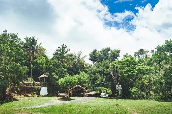 Natine Landhäuser auf wunderschönem, lebendigem Hintergrund, bestehend aus Bäumen des Regenwaldes Mittelamerikas. typische Landschaft der Dominikanischen Republik, Guatemala, Costa Rica. — Stockfoto