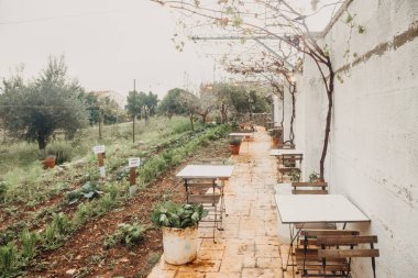 arka bahçesinde açık oturma ve aile ile Barbekü. güzel bir ev. Ruh hali