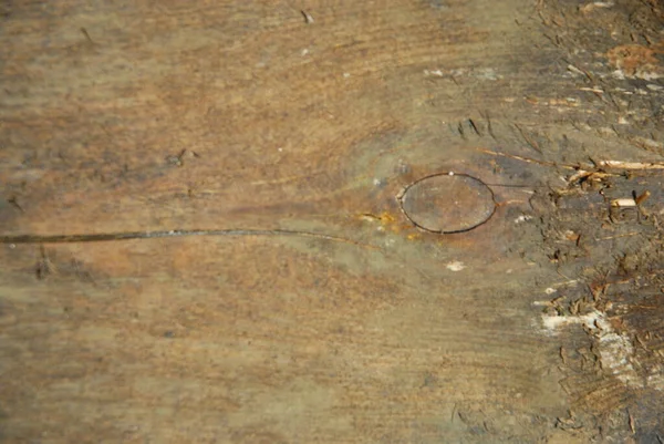 Yatay tahtaları olan eski ahşap arkaplan dokusu