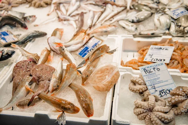 Бари, Апулия, Италия - 07 ноября 2018 года: свежепойманная рыба, которая будет продаваться клиентам на пирсе Святого Николая в центре Бари, область Апулия, Италия . — стоковое фото