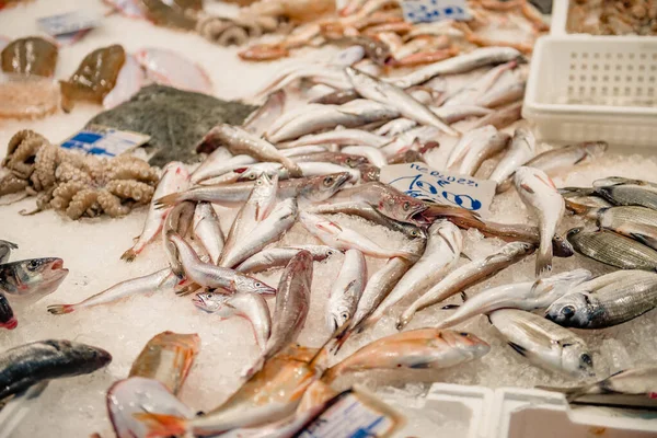 Бари, Апулия, Италия - 07 ноября 2018 года: свежепойманная рыба, которая будет продаваться клиентам на пирсе Святого Николая в центре Бари, область Апулия, Италия . — стоковое фото