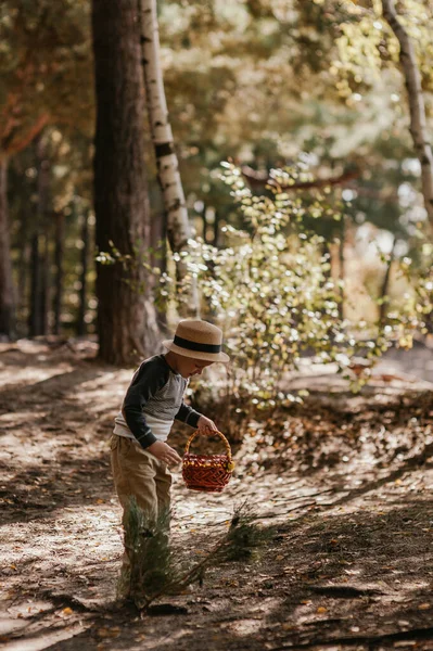 Stylish boy in a hat with a basket. boy in the park in a hat with a basket in autumn — ストック写真