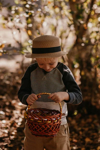 Stijlvolle jongen met een hoed en een mand. jongen in het park in een hoed met een mand in de herfst — Stockfoto