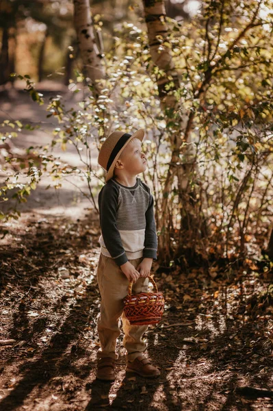 Rapaz elegante com um chapéu e um cesto. menino no parque em um chapéu com uma cesta no outono — Fotografia de Stock