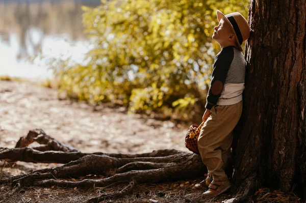 Stylish boy in a hat with a basket. boy in the park in a hat with a basket in autumn — ストック写真