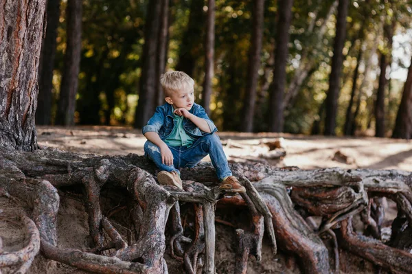 Schattige kleine jongen zittend in zomerpark. Outdoor portret. — Stockfoto