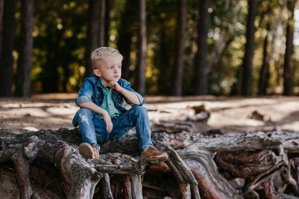 Retrato de un lindo niño de 3 años al aire libre en el parque de otoño — Foto de Stock