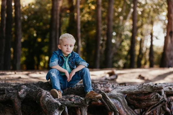 Portret van een schattig jongetje van 3 jaar oud buiten in het najaarspark — Stockfoto